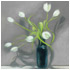 White-Tulips oil paintings by Tom Gass