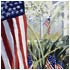 American the Beautiful Stars and Stripes oil paintings by Tom Gass